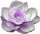 Clairvoyance workshops