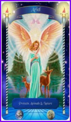 Archangel Ariel Meanings